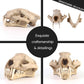 Aquarium Décor Cave Decorations Fish Hideout Betta Tarantula Reptile Snake for Terrarium Ornament Dinosaur Animal Skull Large Bones Halloween