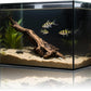 3 Gallon Glass Fish Tank Cube, Small Aquarium Fish Bowl for Betta Goldfish Snails Shrimp Aquatic Planting, Easy to Maintain Ultra Clear Rimless Design for Desktop Small Spaces