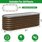 SnugNiture Galvanized Steel Raised Garden Bed, 6x2x2 ft, Outdoor Oval Deep Root Planter Box for Growing Vegetables, Flowers and Fruits