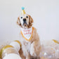 ZippyPaws Dog Birthday Gift Bandana & Bone - Cute Accessories for Girl & Boy Dogs, Holiday Set, Fits Small, Medium, & Large Dogs, Stuffed Plush Toy, Machine Washable Handkerchief - One Size Fits Most