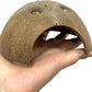 Hamiledyi 7 Pcs Reptile Hideouts Natural Coconut Shells Hut Leopard Gecko Tank Accessories for Aquarium Fish Hermit Crab Hide Cave Small Snake Tarantulas Lizard Chameleon (Without Fiber)