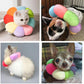 Rabbit Cat Cone Collar Soft,Adjustable Cat Recovery Wound Healing Accessory,Cats Cones to Stop Licking,for Chinchilla,Guinea Pigs,Bunny,Kitten Donuts Collar After Surgery(Small)