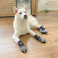 EXPAWLORER Anti Slip Dog Socks to Prevent Licking Paws, Dog Shoes for Hot Pavement, Dog Booties for Small Medium Large Senior Dogs, Traction Control Boots & Paw Protectors for Hardwood Floors