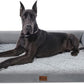 XXL Dog Bed with Bolsters, Orthopedic Dog Beds for Extra Large Dogs, Waterproof Dogs Beds XLarge with Removable Washable Cover, Nonskid Bottom (XX-Large, Grey)