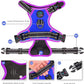 PHOEPET 2019 Upgraded No Pull Dog Harness, Reflective Adjustable Vest, with a Training Handle + 2 Metal Leash Hooks+ 3 Snap Buckles +4 Slide Buckles(XS, Royal Blue)