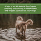 Organic Peanut Butter & Molasses Dog Treats – Healthy, Crunchy, Vegan Biscuits with Whole & Real Ingredients – All Natural & USA‐Baked, 4 Pound Bag