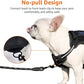 Amazon Basics No Pull Dog Harness, Adjustable Front Clip, Tactical Vest, X-Large, Black