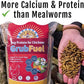 Grub Fuel Black Soldier Fly Larvae for Chickens - Nutrient Packed BSFL, Sustainably Sourced Snack for Poultry, Rich in Protein, Calcium, Fiber, Essential Fatty Acids, USA Grown (5LB)