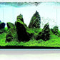 9.5 Gallon Rimless Aquarium, Ultra Clear Glass Low Iron Small Fish Tank for Betta, L15.7×W11.8×H11.8 Inches Thickness 5mm with EVA Foam Mat Included