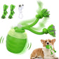 Interactive Dog Toys - [2025 Newly Upgraded] Motion Activated Ball for Small/Medium/Large Dogs, Automatic Moving Dog Toy Wicked Ball for Boredom & Training, Music, USB Rechargeable (Green)