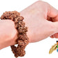 Natural Silvervine Gall Fruit Cat-Attracting Bracelet,Interactive Cat Toy for Relaxing and Teething, Catnip Alternative (Small Gall Fruit)