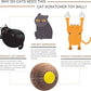 AREIIA Catnip Ball Toy for Cats Catnip Refillable Scratcher Ball Kitty's Faithful Playmate Reduce Obesity and Loneliness CSB01BR