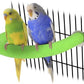 Rypet U Shape Parrot Perch Stand Toy for Paw Grinding Clean Stick Exercise, Rough-Surfaced Quartz Bird Perch Standing Cage Accessories for for Small Parakeets Cockatiels Conures Macaws Finches(Green)