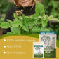 Super Value Pack 5 LB - Raspberry Leaf Tea - Womens Tea, Reproductive Health - Ease PMS Sympoms, Menstrual Cramps