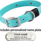 Biothane Custom Dog Collar – Waterproof, Stink-Proof Personalized Collar with Name & Phone Number – Durable, Many Sizes and Colors – Assembled in USA (Sky Blue)