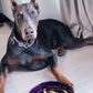 LE TAUCI Slow Feeder Dog Bowls Ceramic, 3 Cups Slow Feeding Dog Bowl Medium Large Breed, Pet Bowl for Fast Eaters, Puzzle Pet Dishes, Maze Purple