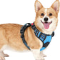 rabbitgoo Dog Harness Small Sized, No Pull Pet Harness with 3 Buckles, Adjustable Soft Padded Vest with Control Handle, Walking Reflective Pet Vest for Small Dogs, Sky Blue, S