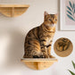 Wood Cat Wall Shelves with Sisal Mat – Cats Wall Furniture Steps for Large Cats, Perfect for Play and Vertical Movement