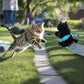 Mouse and Cat Wrestling Toy Puppet, Wrestler Play Doll Glove, Animal Arm Hand Funny Interactive Mice Cat Toy for Pet Lovers