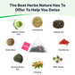Detox Tea - Slimming Tea with Dandelion and Ginseng to Support Goals for Detox Cleanse, Flat Belly, Bloating, Healthy Weight and Digestive Health - Women & Men - Peach Flavor (28 Servings)