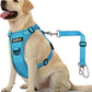 Dog Seat Belt Harness for Car, Dog Car Harness Adjustable Mesh Breathable & Dogs Seatbelt Safety Tether with Elastic Bungee for Small Medium Large Pets(Blue, XL)
