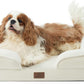 Bedsure Orthopedic Dog Bed Medium Size Dogs - Washable Medium Dog Cat Bed Waterproof, Comfort Pet Couch Sofa with Washable Removable Cover, Pets Bed with Nonskid Bottom, Ivory, 28"