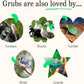 Grubblies - Switch from World Harvest to Hometown Harvest for Premium Chicken Nutrition - Grubblies World Harvest 5LB