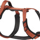 CLEPAWS Dog Harness for Small Dogs, No Pull Dog Harness Easy Walk with Metal Hardware, Ergonomic Y-Shaped Design, Soft Padding, Padded Handle, Durable High-Tensile Nylon (Canyon Red, S)