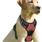 BARKBAY No Pull Dog Harness Front Clip Heavy Duty Reflective Easy Control Handle for Large Dog Walking(Rio Red,M)