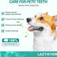 LAZYNOON Dog Teeth Cleaning Wipes - Dog Dental Wipes, Pet Dental Finger Wipes for Dogs & Cats Teeth with Brushing Beads, Removes Plaque and Tartar Buildup, Freshens Breath, 60 Count