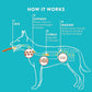 Collagen Rolls - 6" Collagen Rolls for Dogs - Long Lasting Healthy Joint Support - Rawhide Alternative - Skin & Coat Health - Made with Real Chicken, Value Pack, 3 Bags, 12 Count