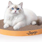 Round cat Scratcher Refill 9.84 inch Diameter 7/8 inch Thickness Scratcher Replacement Pads Scratching Board Circle cat Scratcher Scratch pad (Green and Yellow Cardboard 2PCS)