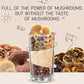 GANOHERB 7 in 1 Mushroom Coffee Mix, Instant Latte Coffee Blend Nootropic Cafe Complex with Reishi, Lion’s Mane, Chaga, Turkey Tail, Maitake, Cordyceps for Energy Focus Immune Boost (10 Servings)