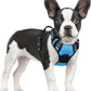 rabbitgoo Dog Harness No Pull with 2 Leash Clips, Adjustable Soft Padded, Reflective Oxford No Choke Pet Vest with Easy Control Handle for Small Dogs, Blue, S