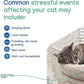 Virbac Zenifel Gel Diffuser for Managing Stress-Related Behaviors in Kittens & Cats - No Electricity Needed - Lasts Up to 2 Months - 1 Diffuser