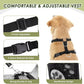 SlowTon Dog Seat Belt Harness for Car, Dog Car Harness Adjustable Mesh Breathable & Dog Seatbelt Safety Tether with Elastic Bungee for Small Medium Large Pets(Red, Double Clip, M)