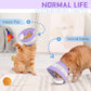 Breathable Air Mesh Cat Cone Collar Soft to Stop Licking, Adjustable, Foldable Lightweight Kitten Cones After Surgery Recovery for Cats & Kittens (Purple, M)