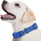 9 Pieces Adjustable Dog Collar for Animal, Soft Nylon Pets Puppy Collar with Quick Release Buckle Holder Bulk for Dogs Walking Running Training(Small,Retro Colors)