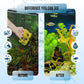 Premium Aquarium Filter Media Pad - Cut-to-Fit Roll, Fresh and Saltwater Safe, Blue & Dye-Free Options, Made in USA(Blue Bonded, 12"x96"(8 ft) by 0.75")