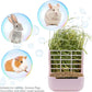 Litewoo Rabbit Hay Feeder Food Bowl Feeding Rack for Small Animal Guinea Pig Chinchilla Bunny Cage Accessories
