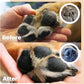 CHARLIE'S PAWS Paw Balm for Dog and Cat Paw Pad Balm Dog Nose Balm Cat Butter Paw Moisturizer Protect Dry Cracked Paw Foot Paw Elbows with 100% Natural Oil 3.5 Oz (Aloe & Vanilla)