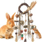 Bissap Bunny Chew Toy, Rabbits Cage Hanging Chew Toys and Treats Rattan Ring with Snacks Water Grass Wooden Block Carrot for Guinea Pigs Chinchillas Hamsters Rats and Other Small Pets Teeth Grinding