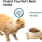 Ceramic Elevated Cat Food and Water Bowl, Kitty Bowl, Raised Cat Dish, Pet Feeder (5.1 in,1 x Beige + Stand)