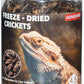 Freeze Dried Crickets – 4.5 Oz High Protein Freeze Dried Crickets, Food for Reptiles, Bearded Dragons, Lizards, Geckos, Birds, Fish,Hedgehogs, Bearded Dragon Food