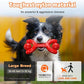 Indestructible Dog Toys for Aggressive Chewers - Heavy-Duty Chew Bones with Real Vanilla Flavor, Interactive & Durable Toys for Medium/Large Dogs to Relieve Boredom