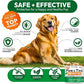 (2 Pack) Flea and Tick Prevention for Dogs Pills - 340 Chews - Natural Dog Flea & Tick Control - Oral Defense Treatment for Dogs Supplement - Vet Formulated - All Breeds & Ages - Made in USA