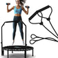 Jumpzylla Fitness Trampoline 40" or 48" | Foldable Mini Rebounder Trampoline for Adults with Bar | Durable, Quiet, Low-Impact Exercise Equipment for Indoor and Home Workouts (550 LBS Capacity)