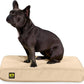 K9 Ballistics Tough Rip-Stop Orthopedic Rectangle Dog Bed Removable Washable Cover, Solid Orthopedic Foam for Size S Dogs 24"x18", Sandstone