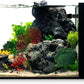 Ultum Nature Systems Dual AIO - Freshwater/Saltwater Compatible All in One Rimless Tank with Triple Chamber Filtration System, Integrated Filter Aquarium w/Leveling Mat - 9 Gallon, 45A, Black