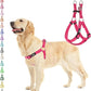 PUPTECK No Pull Dog Harness Soft Adjustable Basic Nylon Step in Puppy Vest Outdoor Walking with ID Tag Medium DeepPink